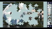 img of Graceful Swans Puzzle